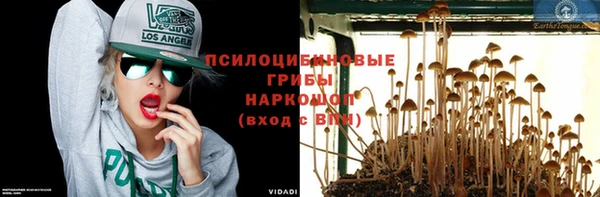дурь Абинск