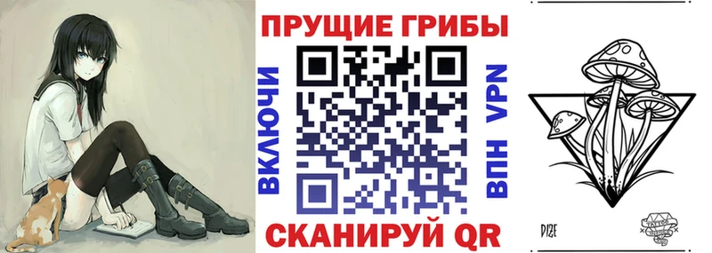 Псилоцибиновые грибы Psilocybe  Осташков 