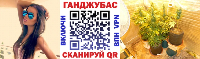 Бошки марихуана индика  купить   Осташков 